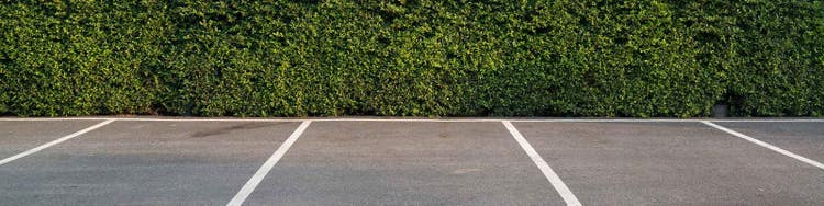 Empty car park next to large hedge