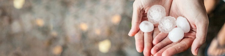 Hands holding hailstones