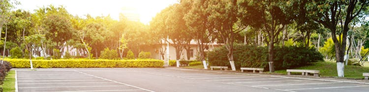 Empty parking area surrounded by greenery